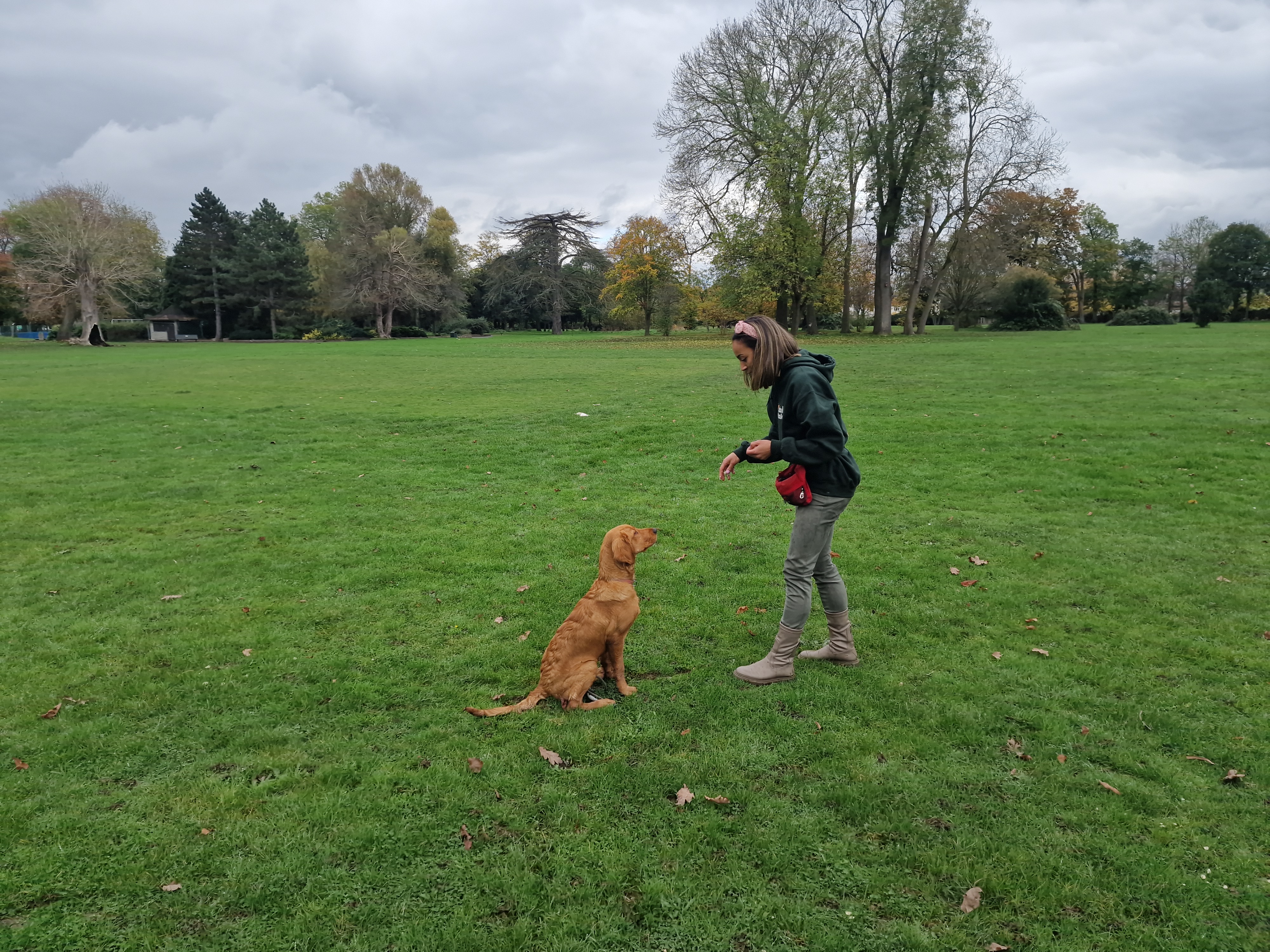 Our work with shelters